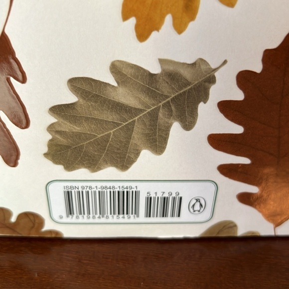 Leif And The Fall Hardcover Children’s Book - Picture 3 of 5